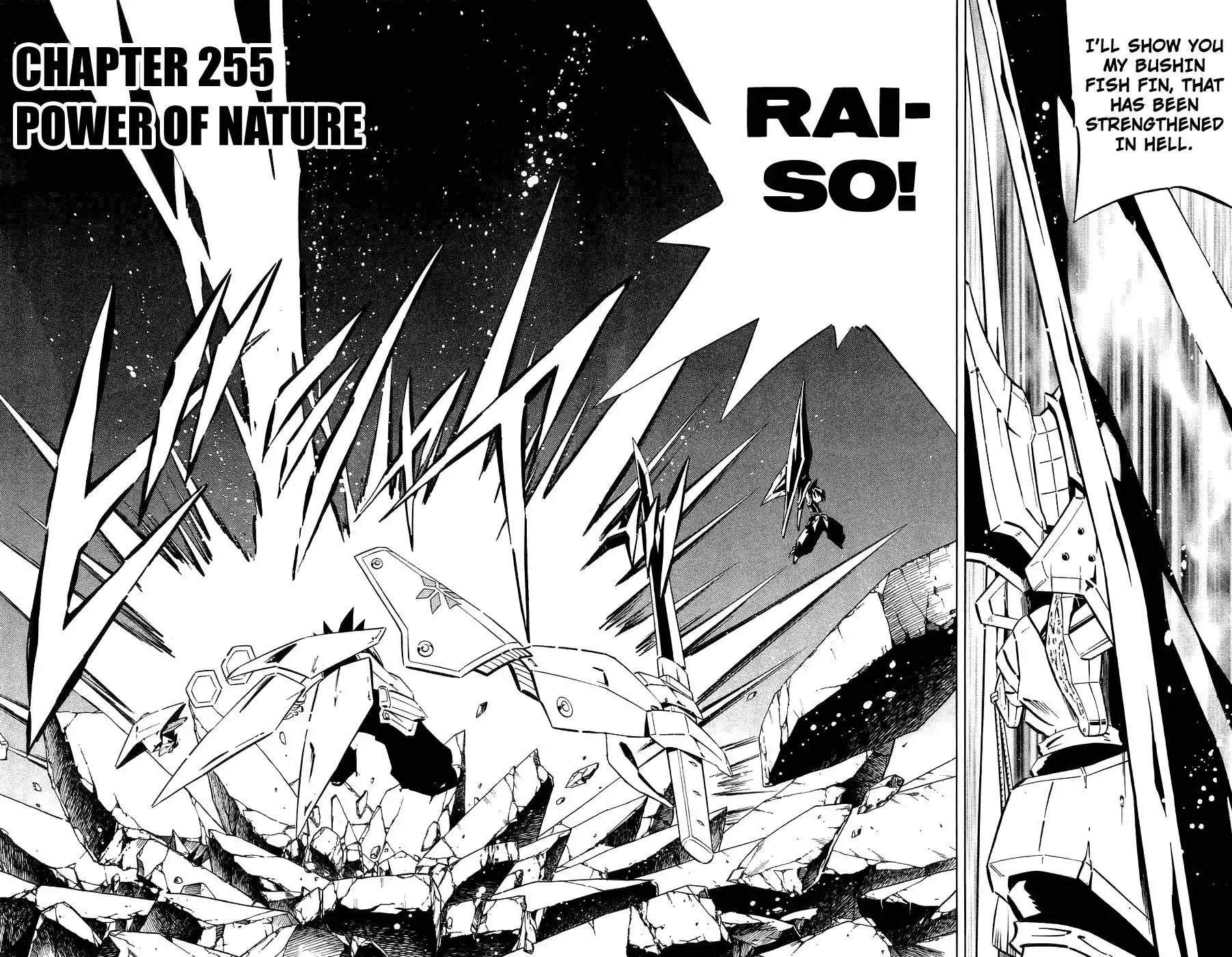 Shaman King Chapter 255 2